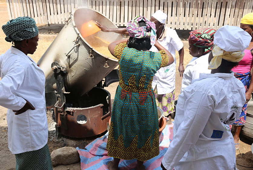 imgi_4_transforming-agriculture-in-benin-main